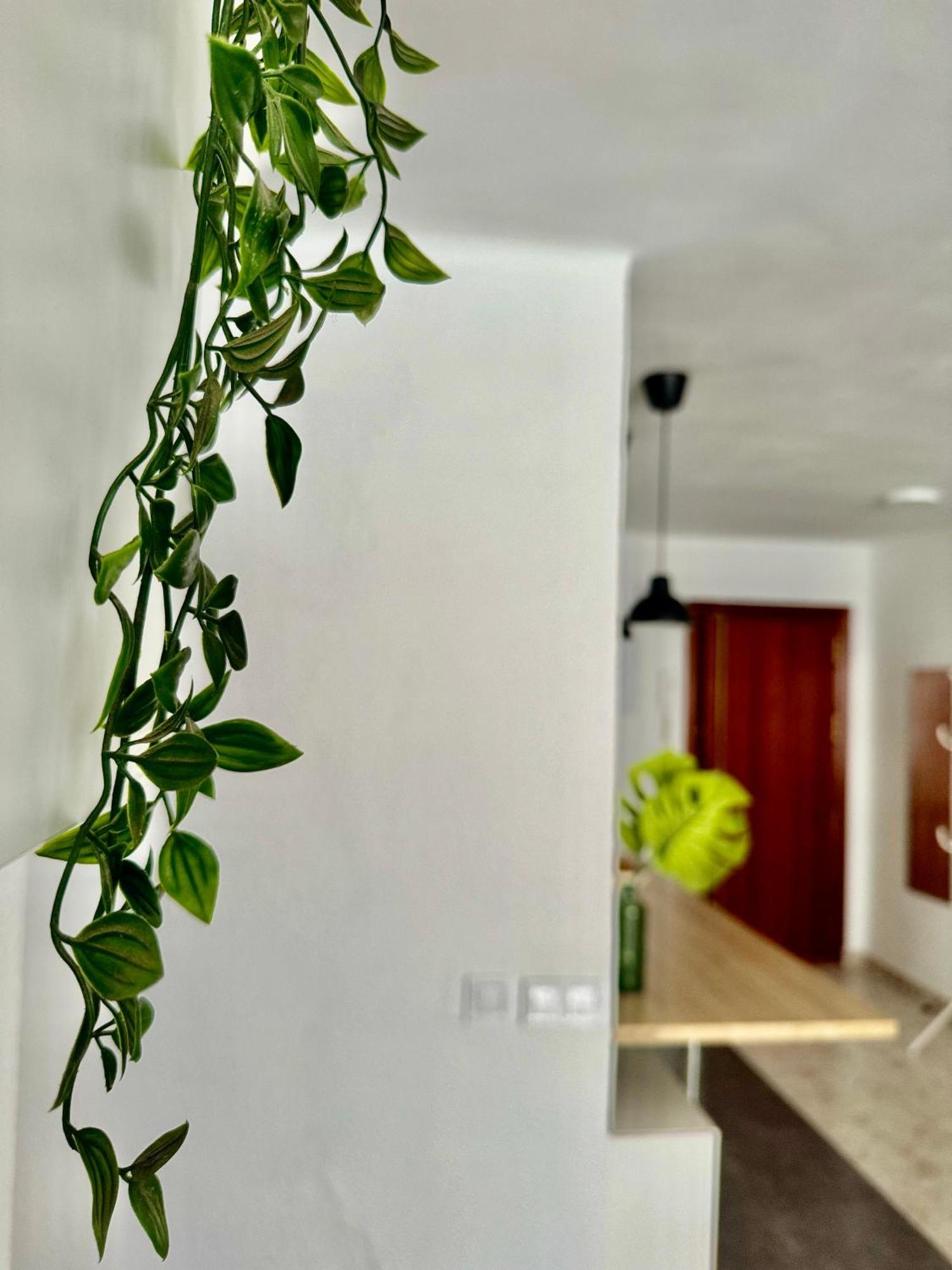 Acogedor En Appartamento Málaga